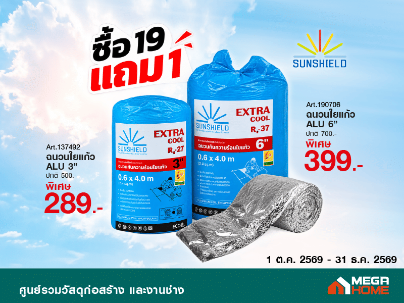 19 แถม 1